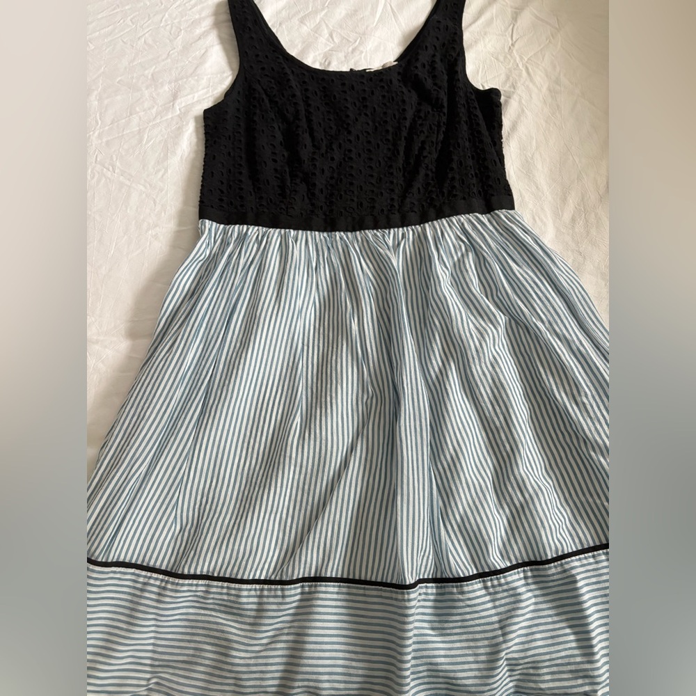 LOFT Dress with Black Lace and Blue Stripes